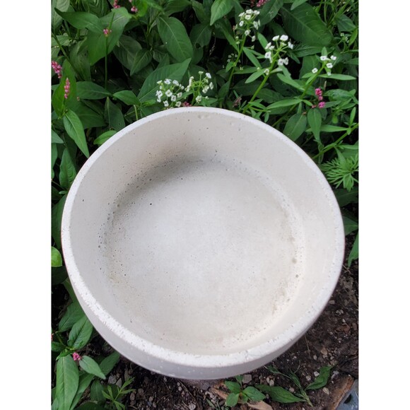 7" Cement Bee Watering Station, Butterfly Puddler Dish, Pollinator Garden - Picture 9 of 10